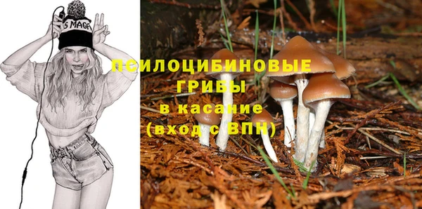 а пвп мука Верхний Тагил