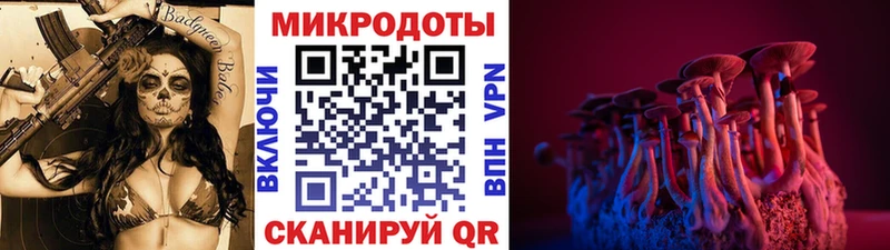 Псилоцибиновые грибы Psilocybe  маркетплейс официальный сайт  Шилка 